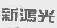 新鸿光