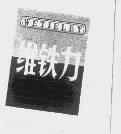 维铁力   WETIELEY