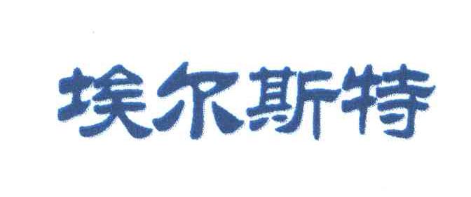 埃尔斯特