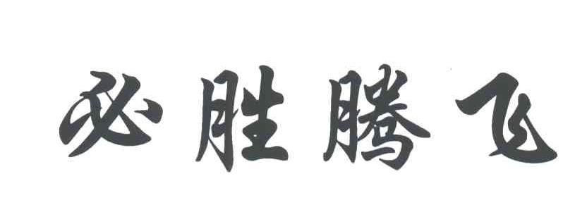 必胜腾飞