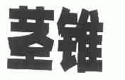 茎锥