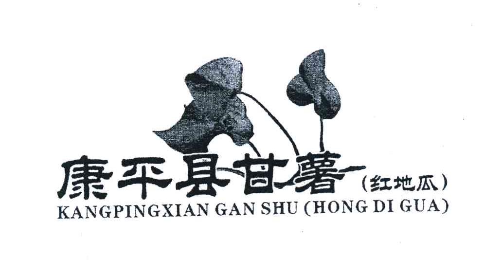 康平县甘薯 红地瓜
