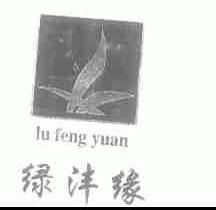 绿沣缘