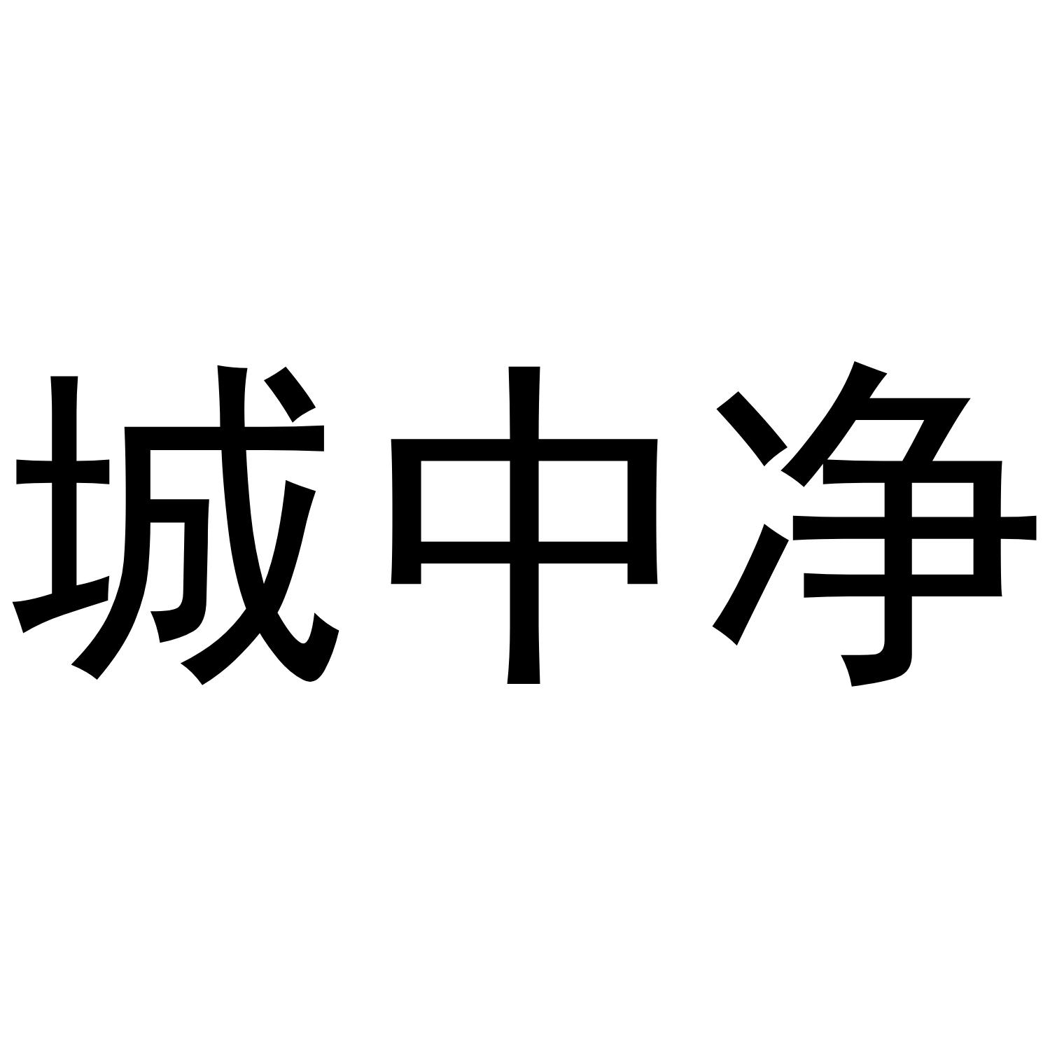 城中净