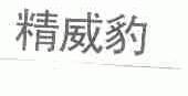 精威豹