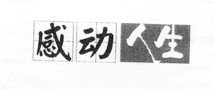 感动人生