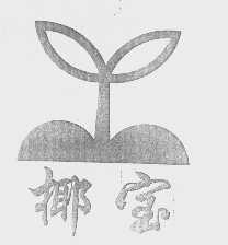 椰宝