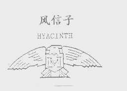 风信子   HYACINTH