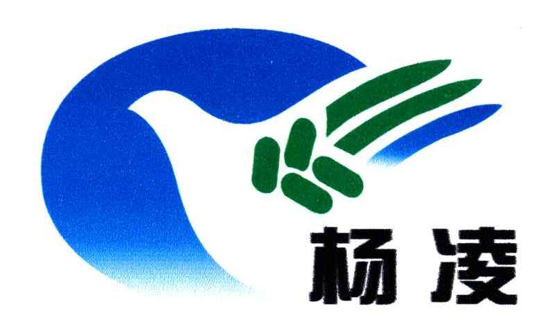 杨凌