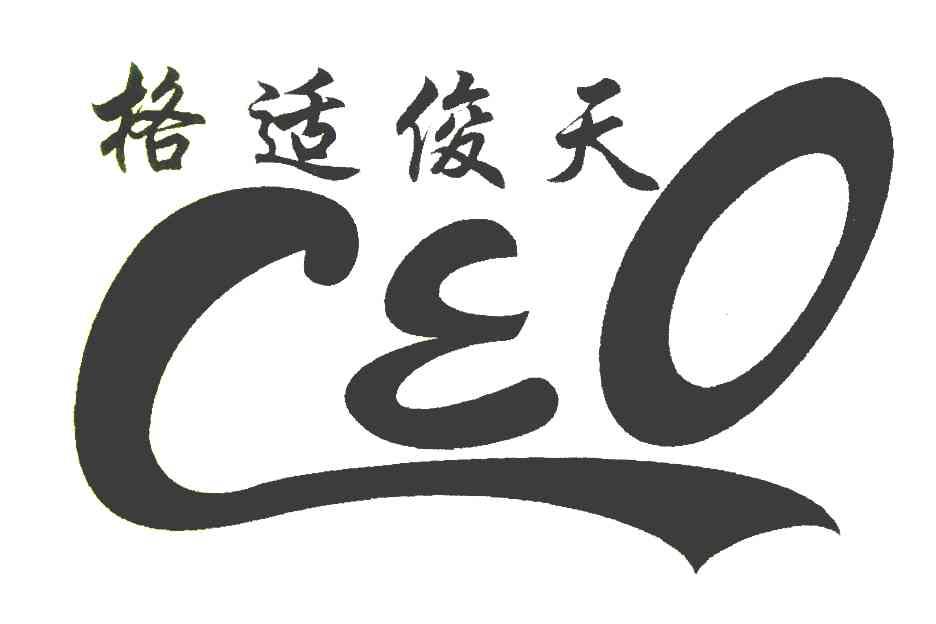格适俊天 CEO