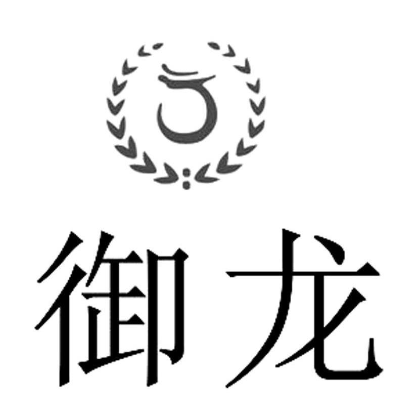 御龙