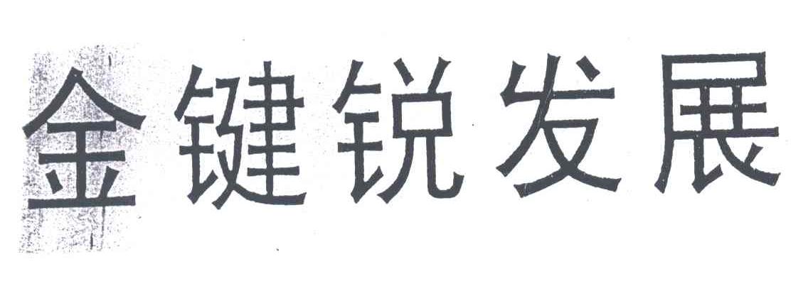 金键锐发展