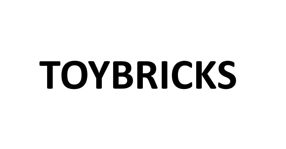 TOYBRICKS