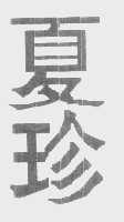 夏珍
