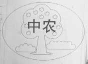 中农