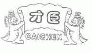才臣