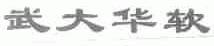 武大华软