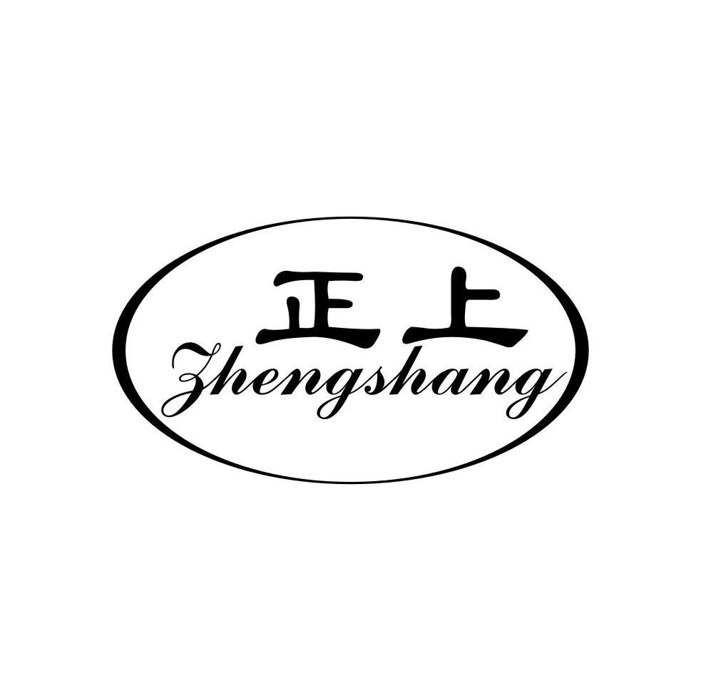 正上
