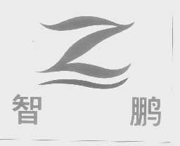 智鹏
