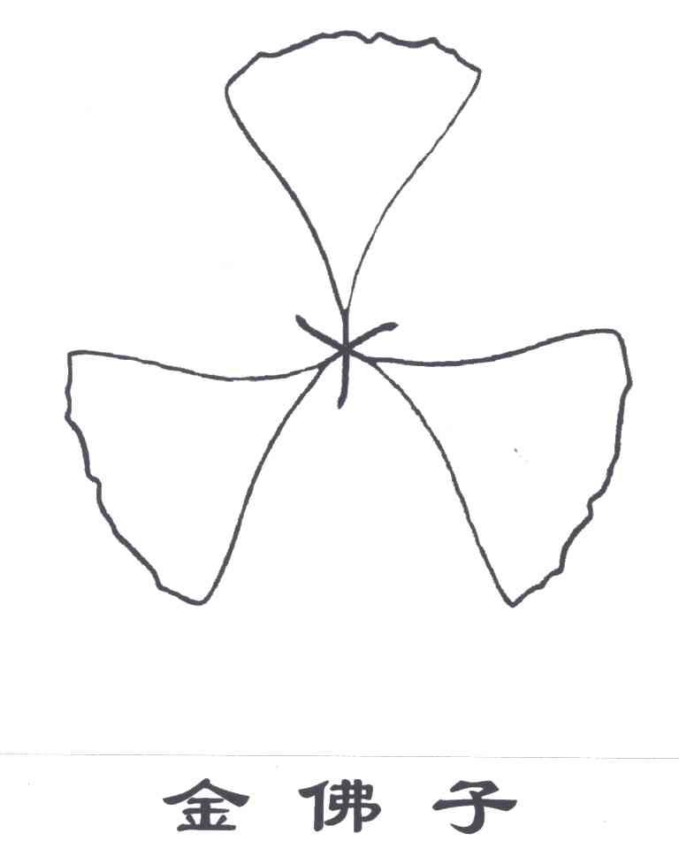 金佛子
