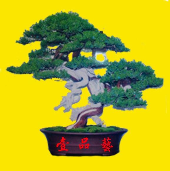壹品艺