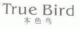 本色鸟;TRUE BIRD