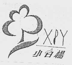 小白杨   XPY