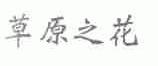 草原之花