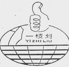 一枝刘