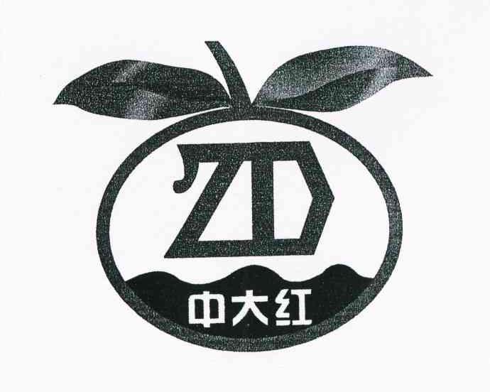 中大红 ZD