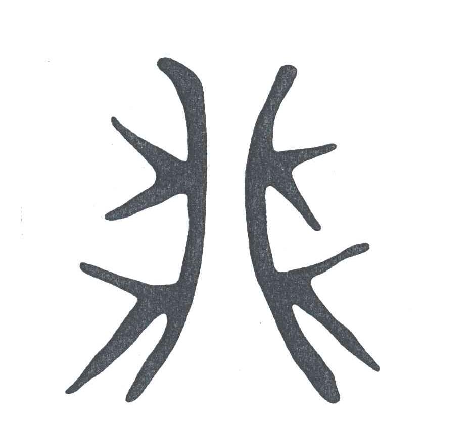 兆