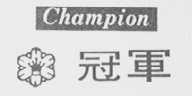 冠军    CHAMPION