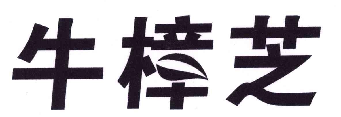 牛樟芝