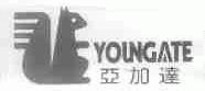 亚加达;YOUNGATE