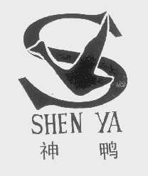 神鸭