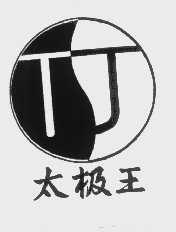 太极王