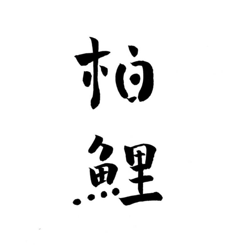 柏鲤