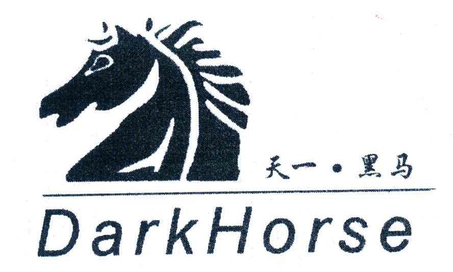 天一.黑马;DARK HORSE