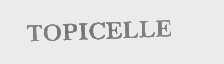 TOPICELLE
