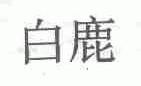 白鹿
