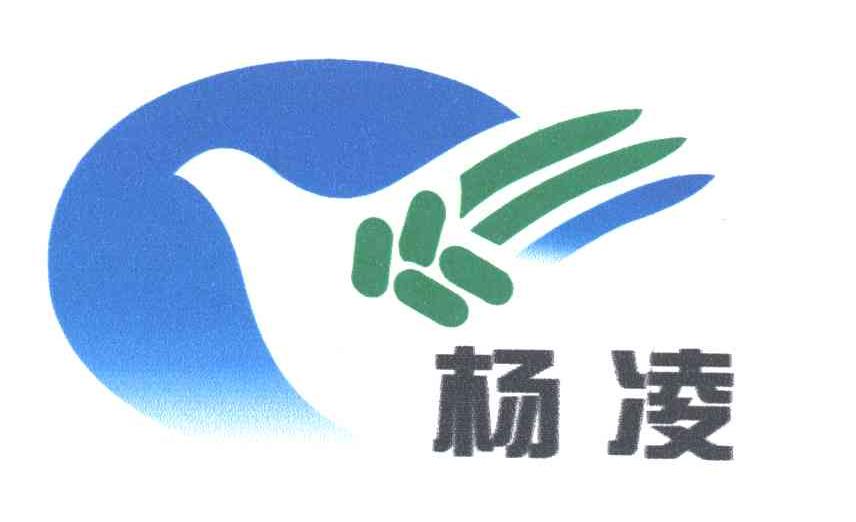 杨凌