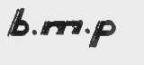 BMP
