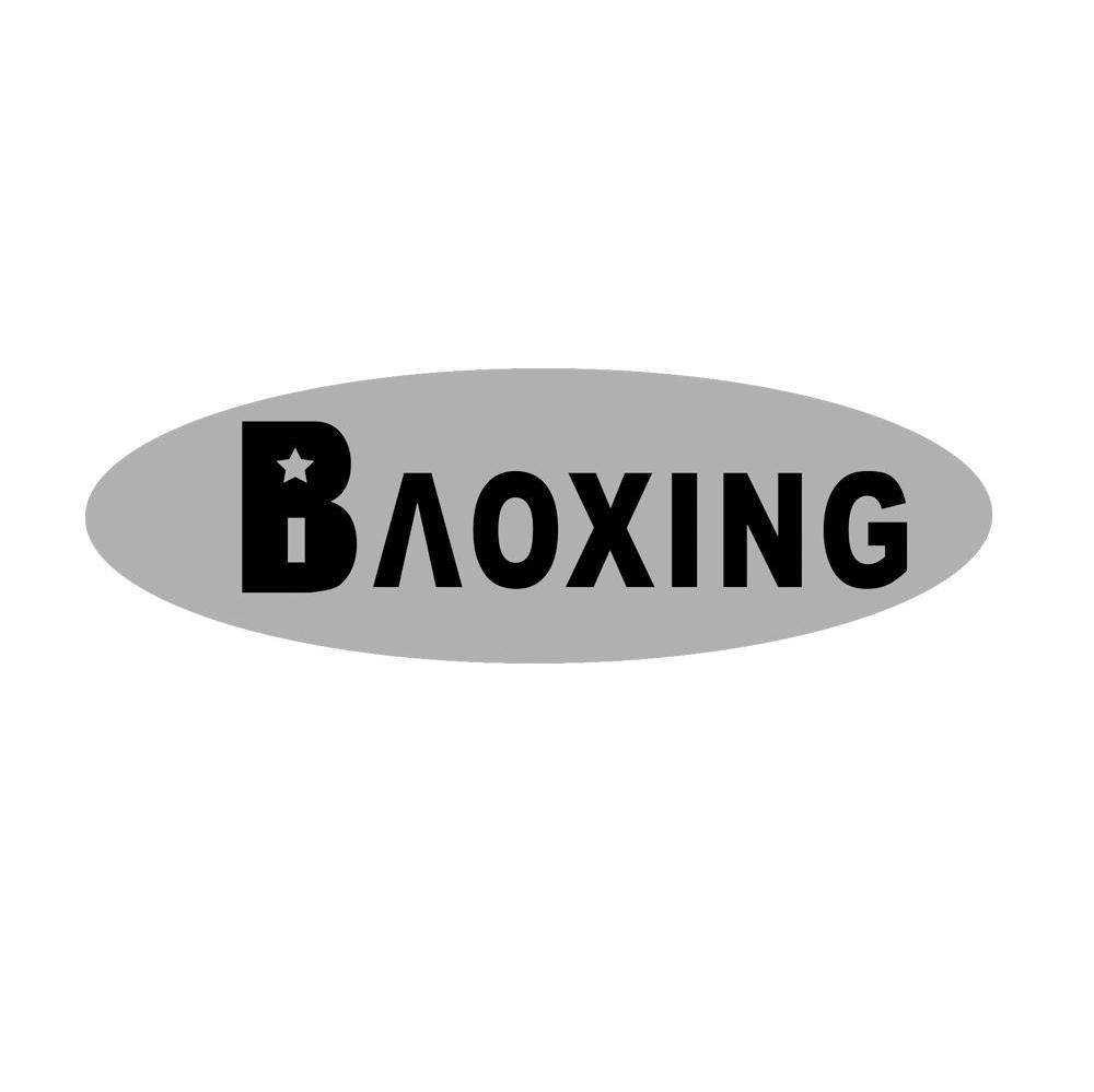 BAOXING