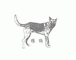 狼狗