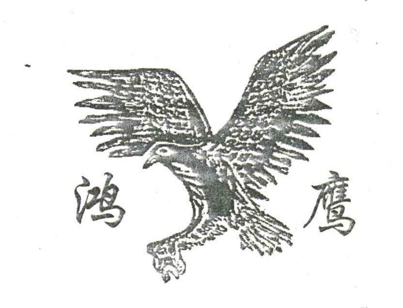 鸿鹰