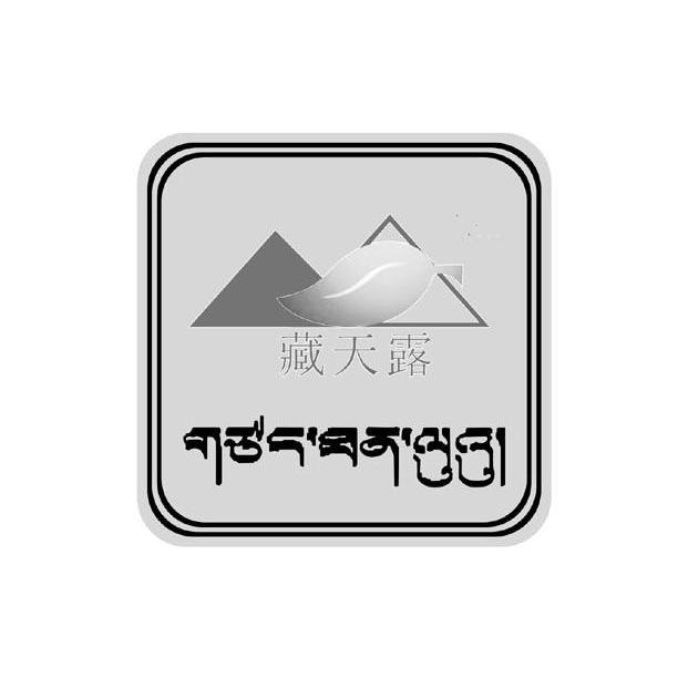 藏天露