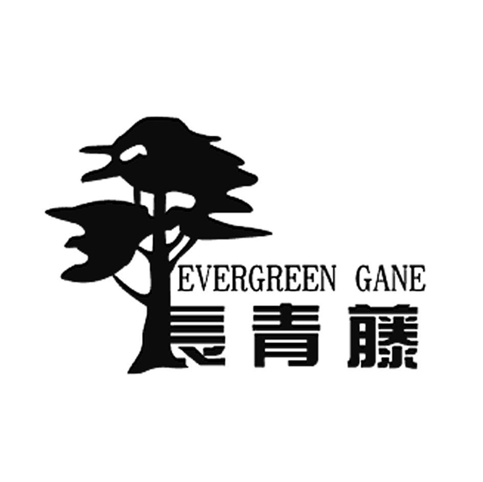 长青藤 EVERGREEN GANE