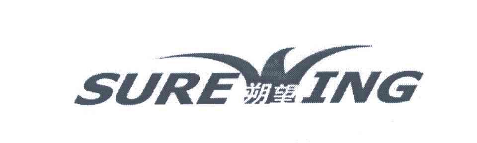 朔望;SUREING