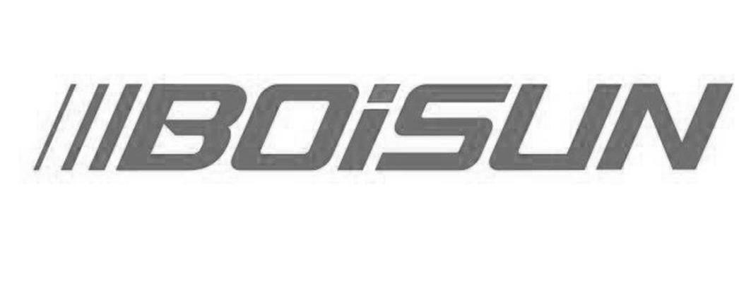 BOISUN