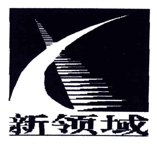 新领域